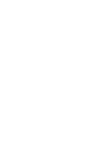 York University Logo